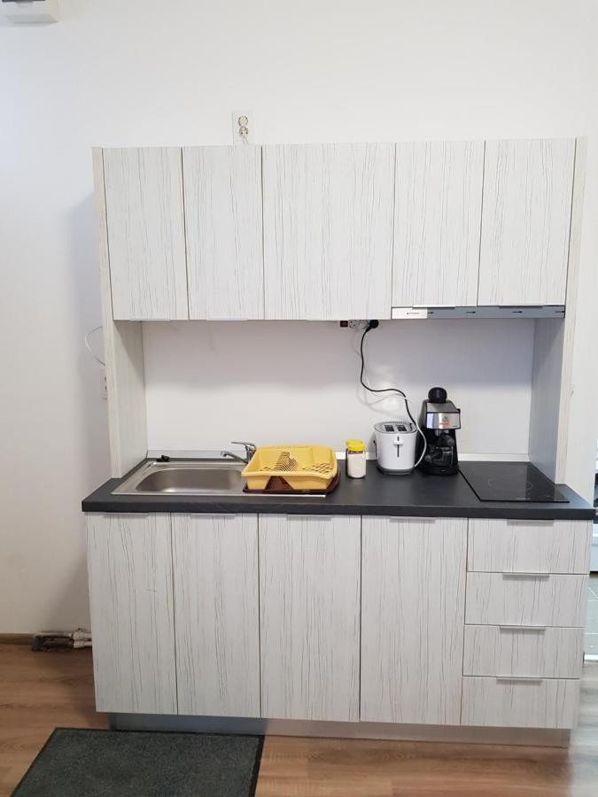 Appartement Apartament 15 Central à Târgu-Mureş Extérieur photo